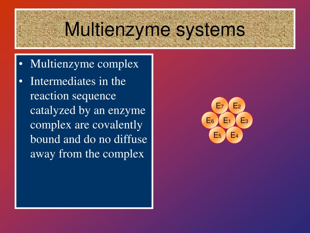 PPT Multienzyme systems PowerPoint Presentation, free download ID
