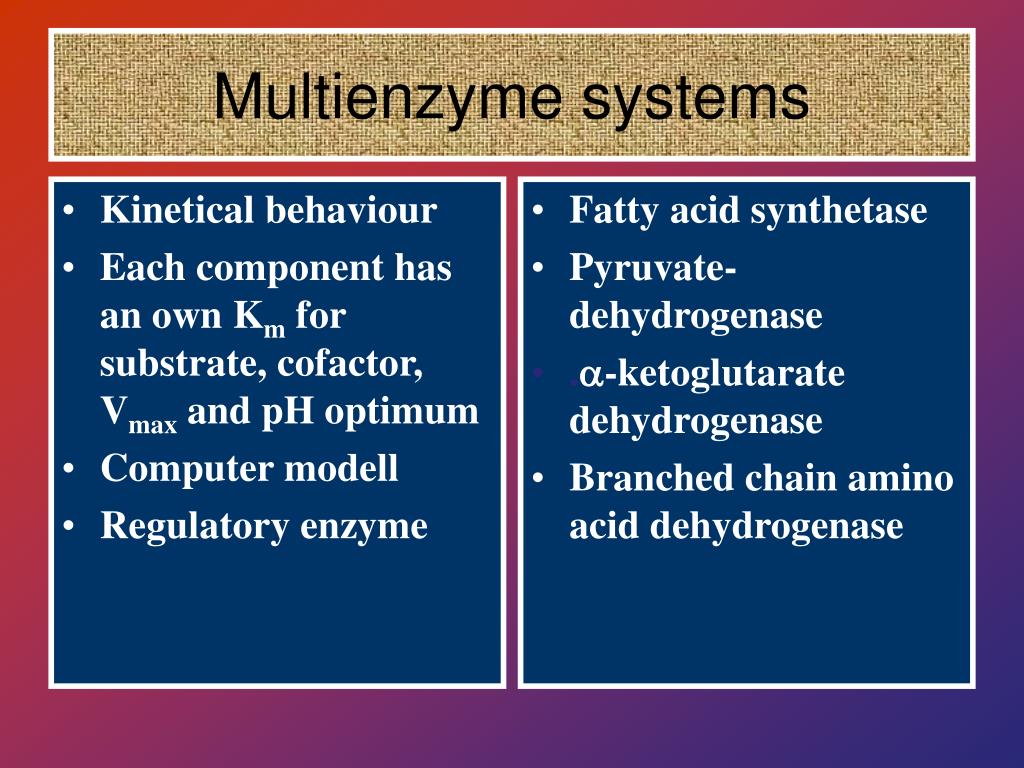 PPT Multienzyme systems PowerPoint Presentation, free download ID