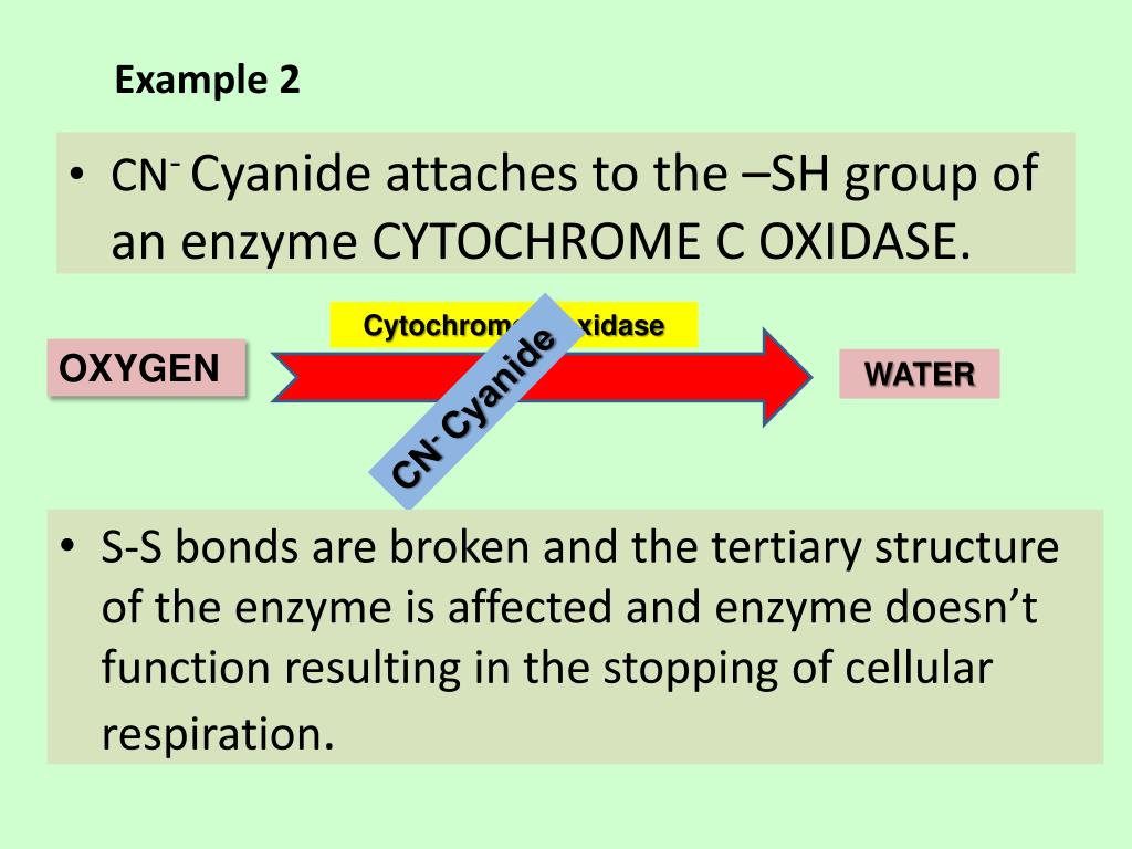 PPT ENZYME INHIBITION PowerPoint Presentation, free download ID4558148