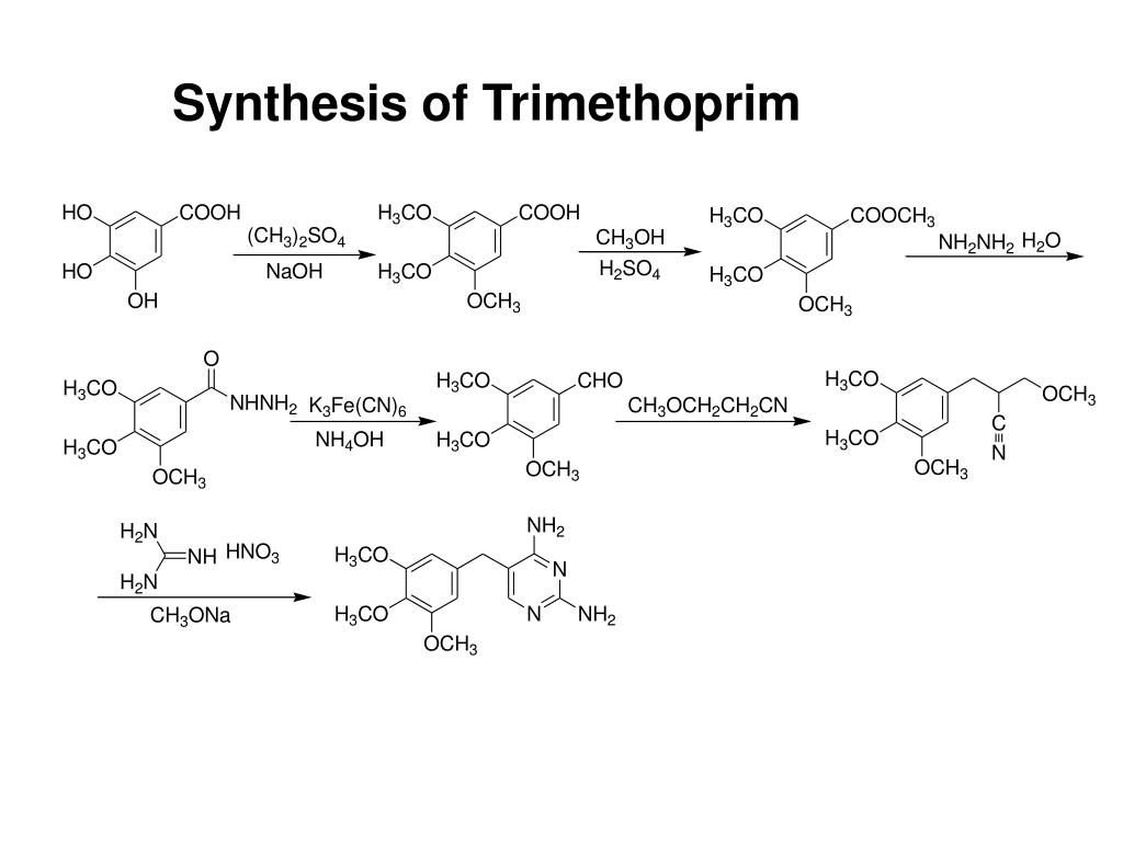 PPT Chapter 19 Antimicrobial Agents PowerPoint Presentation, free