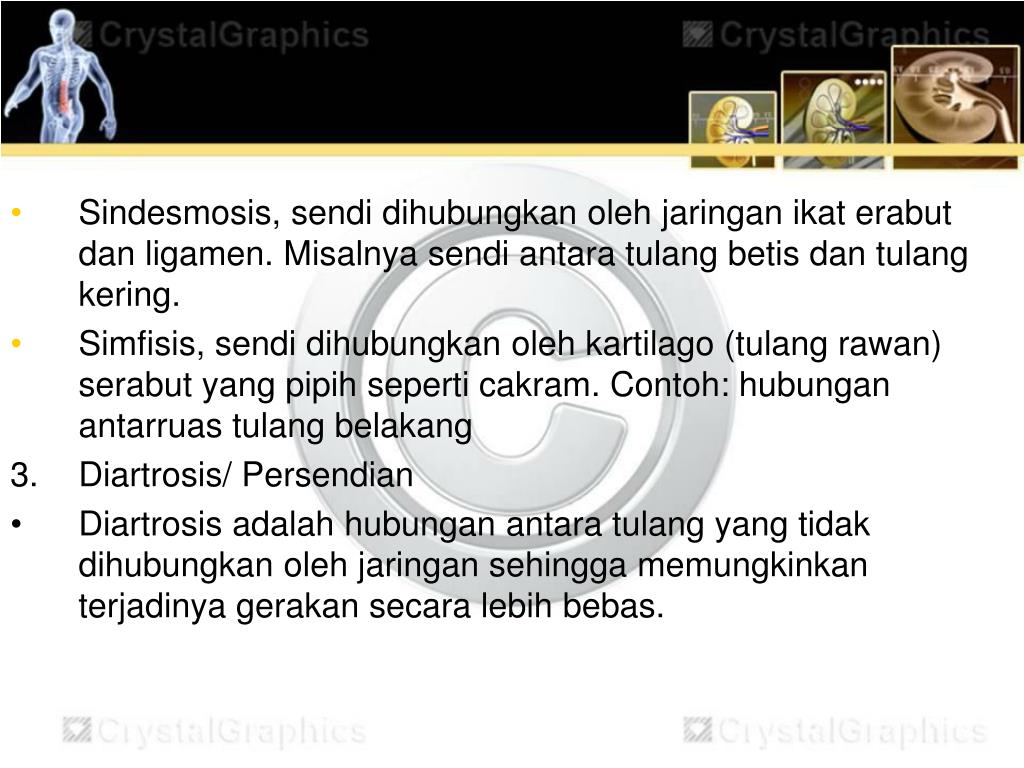 Hubungan Antar Tulang Yang Memungkinkan Gerak Bebas Adalah GunaPermata