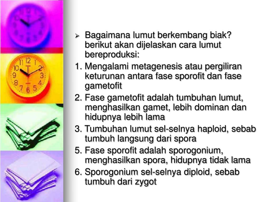 Cara Lumut Berkembang Biak Wulan