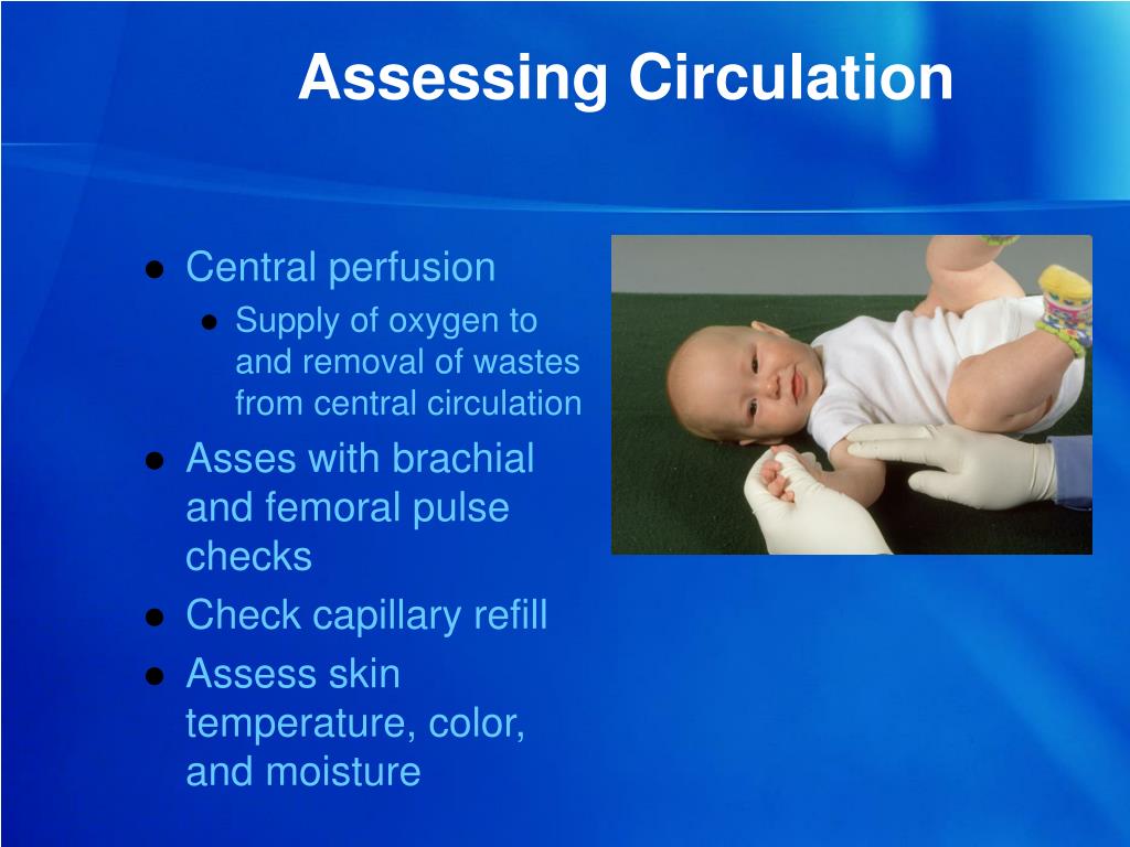 PPT BLS Management of the Peds Patient PowerPoint Presentation, free