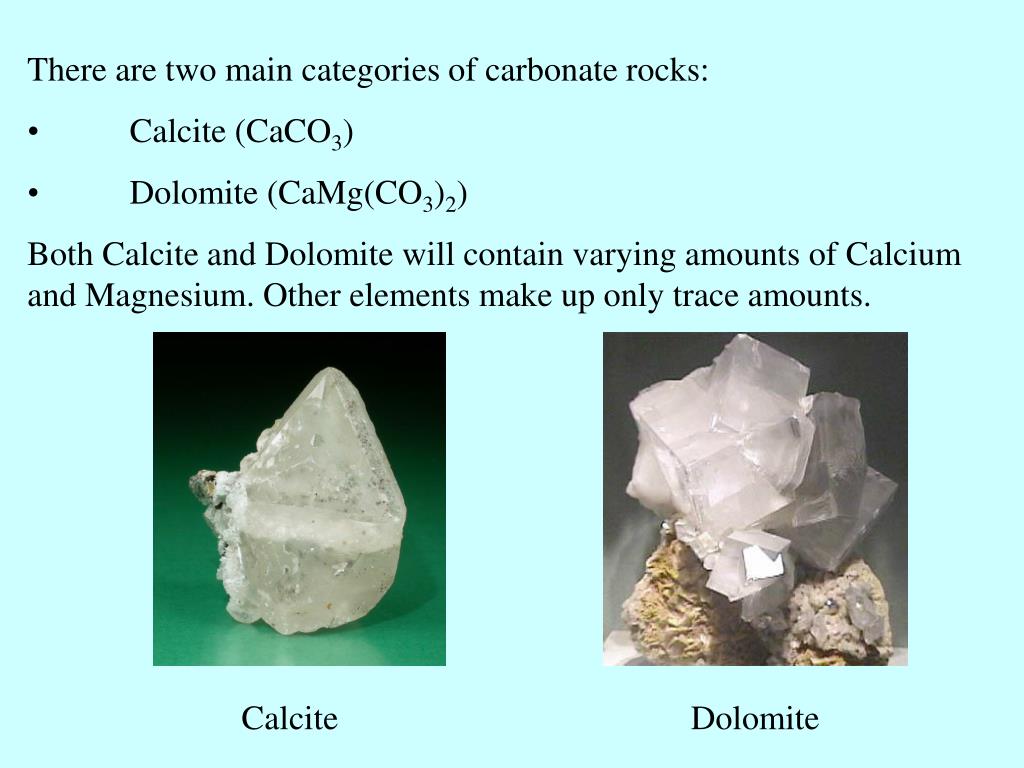 PPT Chapter 6 Carbonate Sedimentary Rocks PowerPoint Presentation