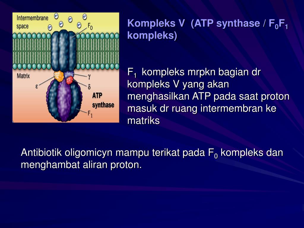 PPT TRANSPORT ELEKTRON DAN FOSFORILASI OKSIDATIF PowerPoint