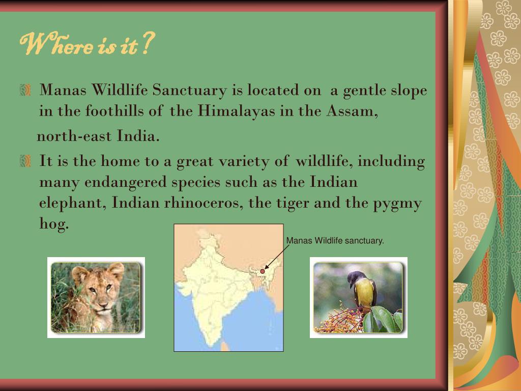 PPT Manas Wildlife Sanctuary PowerPoint Presentation, free download ID4568849