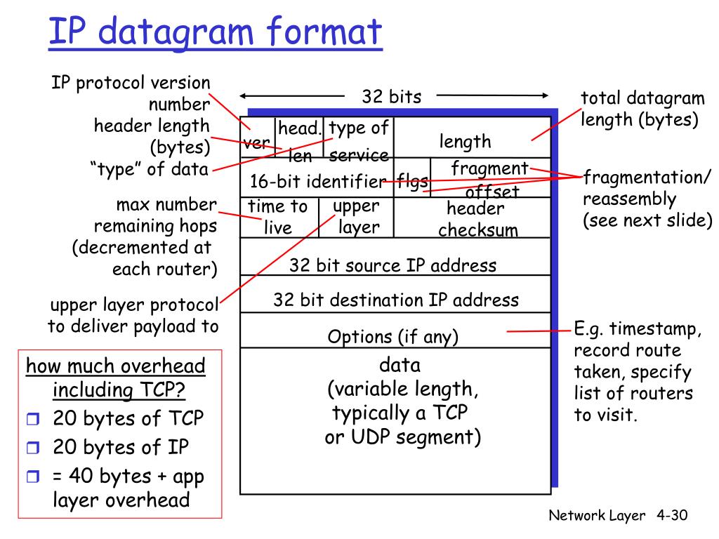PPT Network Layer PowerPoint Presentation, free download ID4569735