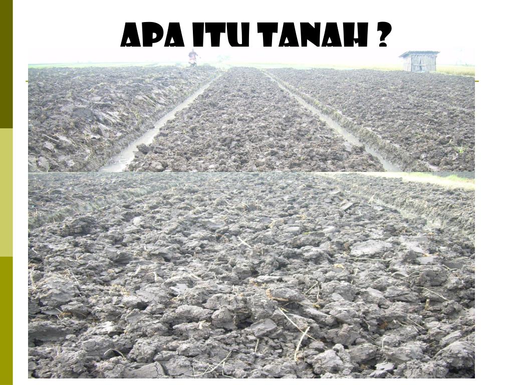PPT EVALUASI KESUBURAN LAHAN PowerPoint Presentation, free download