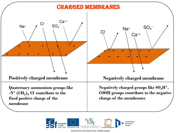 FIG. 7. Atom charge distribution across th…