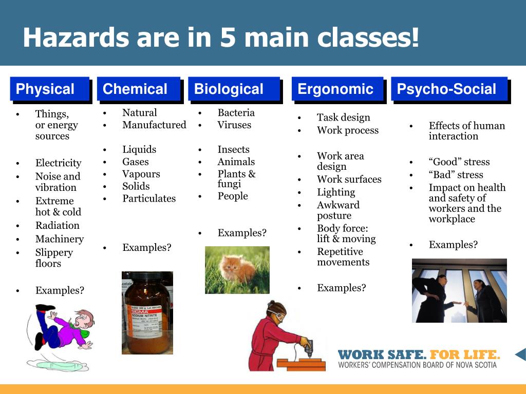PPT CommunityBased Learning Workplace Health & Safety PowerPoint