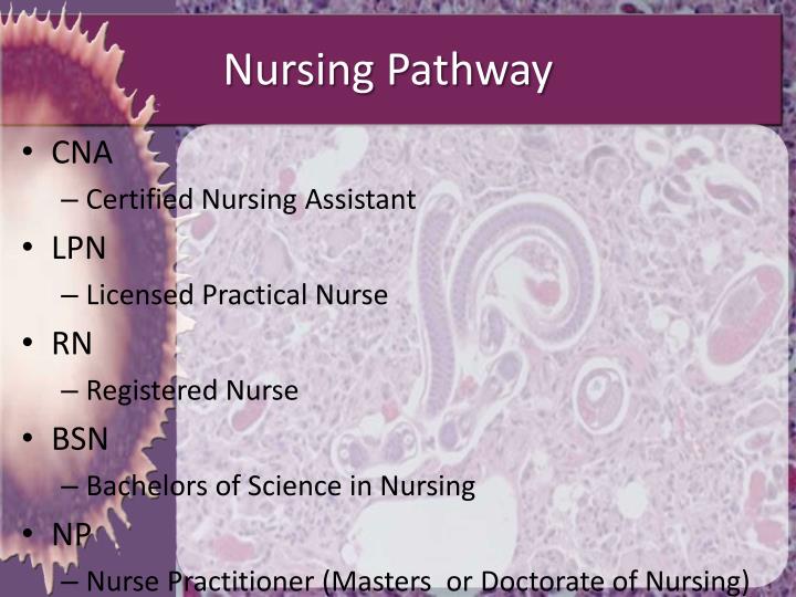 PPT Introduction to Health Science PowerPoint Presentation ID4582519
