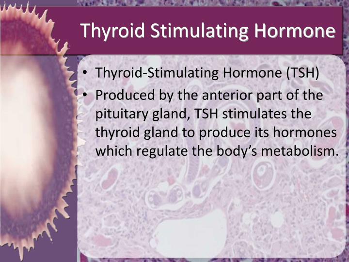 PPT Introduction to Health Science PowerPoint Presentation ID4582519