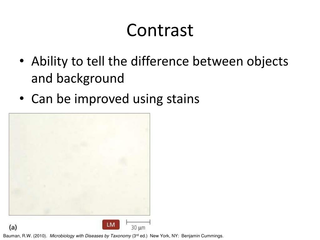 PPT Scientific Method Microscopy and Cytology PowerPoint Presentation ID4585599