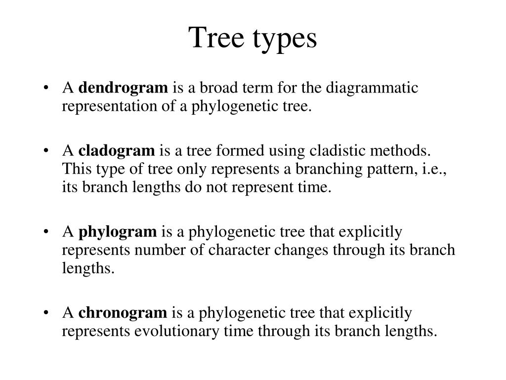 PPT Applied Bioinformatics PowerPoint Presentation, free download