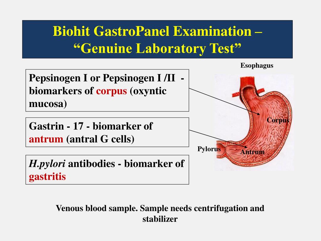 PPT GastroPanel Innovation Pentti Sipponen, MD, PhD Professor Biohit