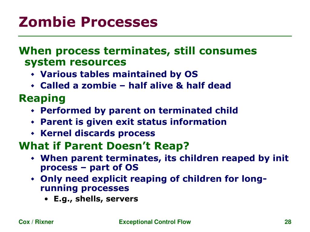 PPT Exceptional Control Flow PowerPoint Presentation, free download