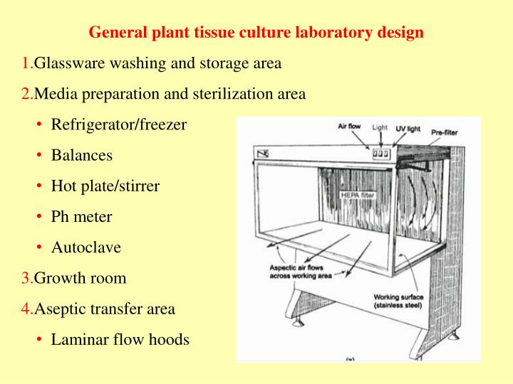 PPT Plant Tissue Culture PowerPoint Presentation ID4586944