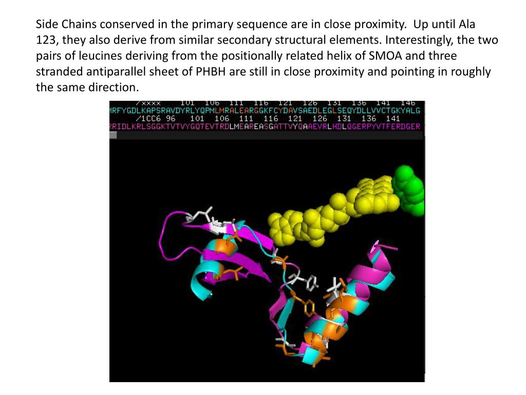PPT Corresponding Positions in SMOA Structure of Amino Acid Side