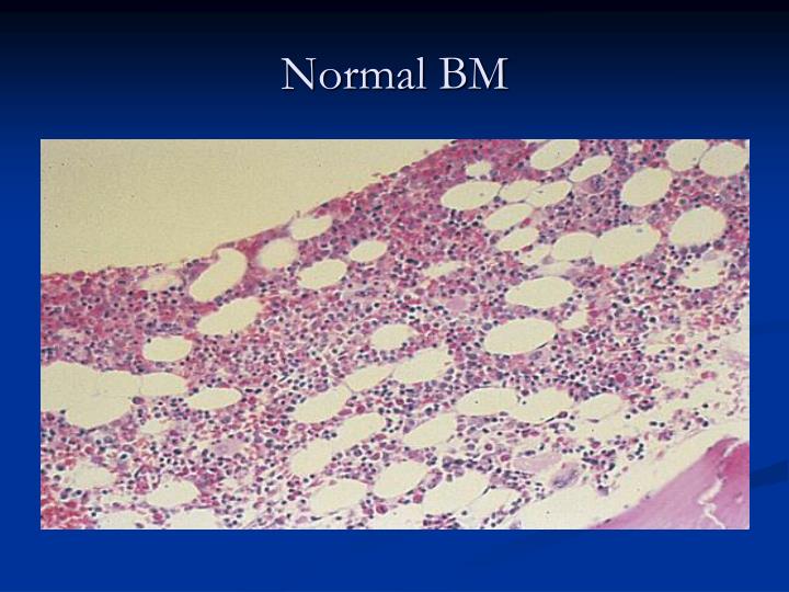 PPT HEMATOPOIESIS PowerPoint Presentation ID4590271