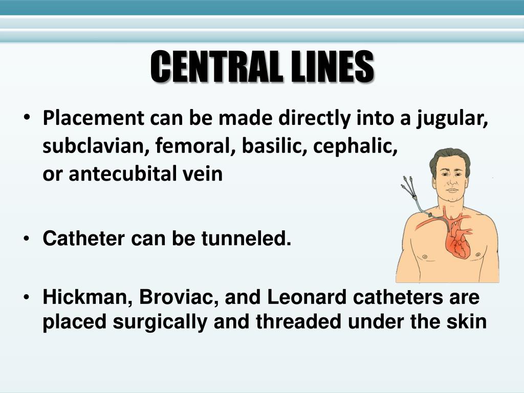 PPT Central Lines Patient Safety Considerations PowerPoint