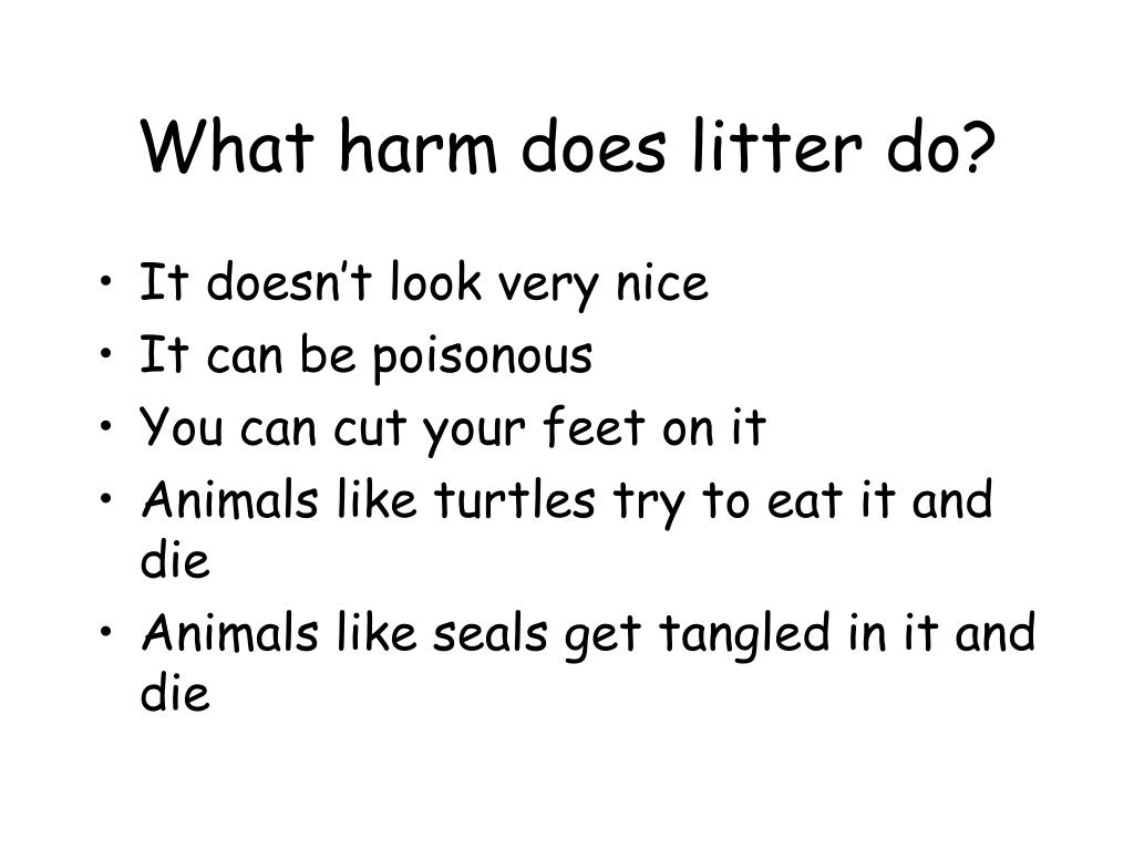 PPT Beach Litter PowerPoint Presentation, free download ID4598802