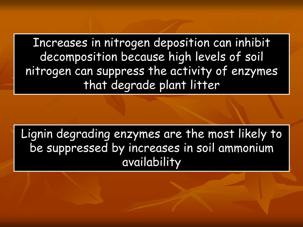 PPT Global rates of atmospheric nitrogen deposition PowerPoint Presentation ID4599895