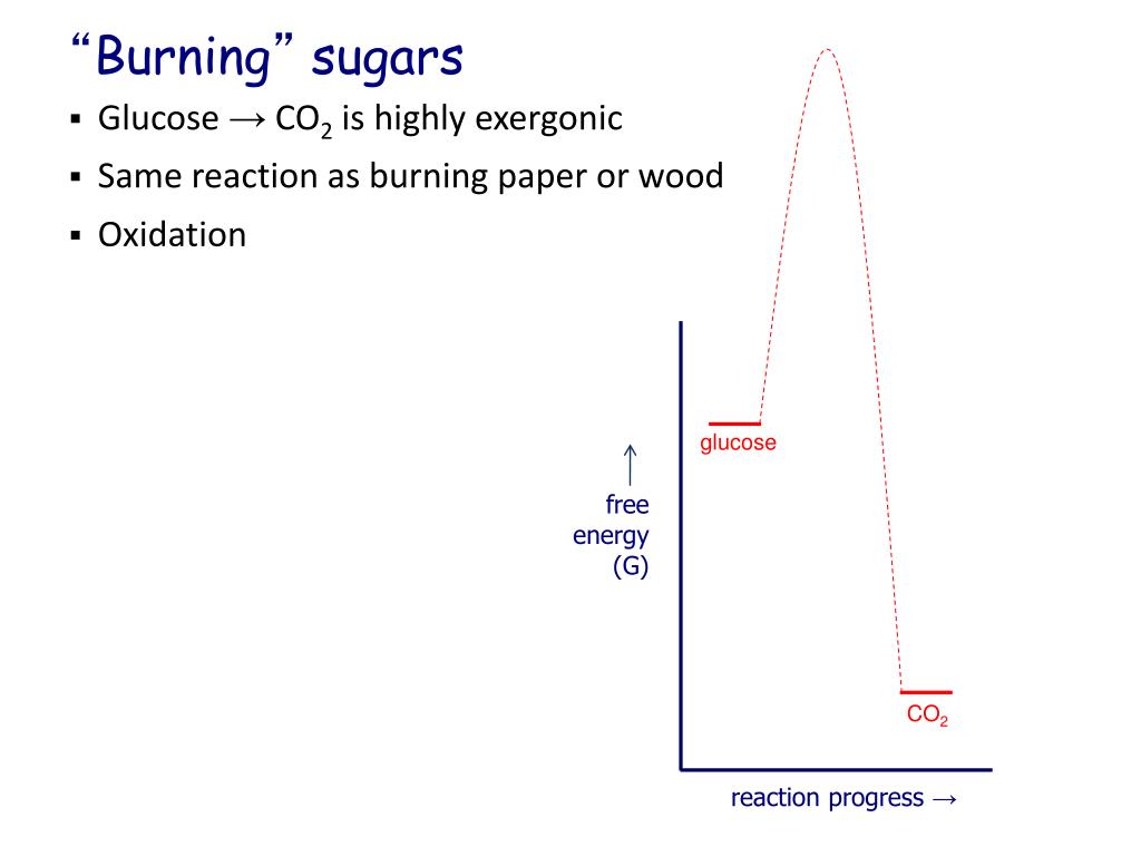 PPT Laws of thermodynamics PowerPoint Presentation, free download