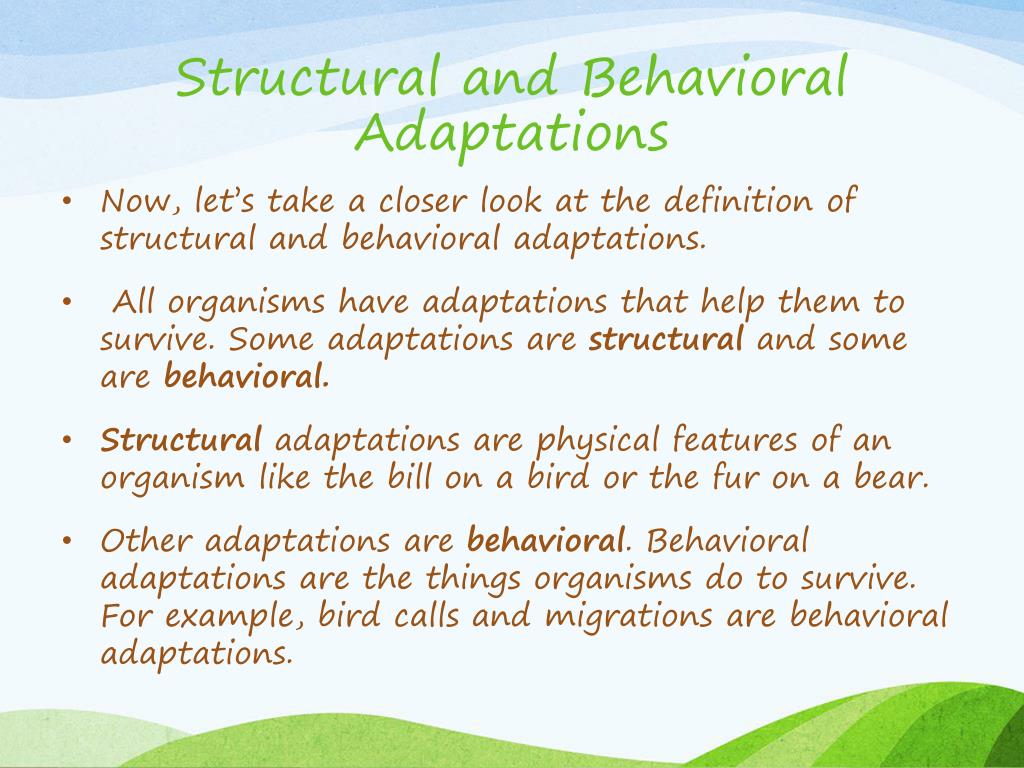 PPT - ADAPTATION PowerPoint Presentation, free download - ID:4605106