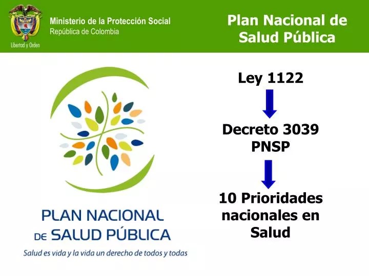 DECRETO 3039 PLAN NACIONAL SALUD PUBLICA PDF