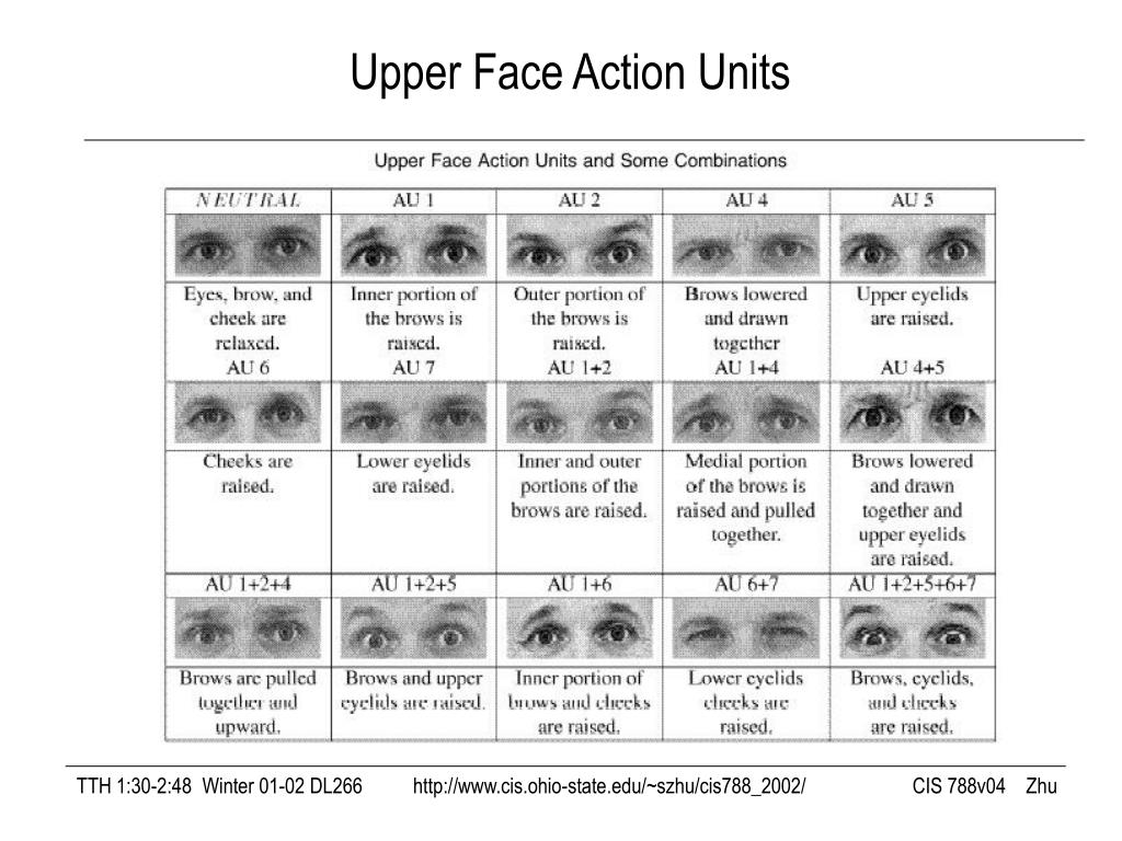 PPT Topic 5. Human Faces PowerPoint Presentation, free download ID