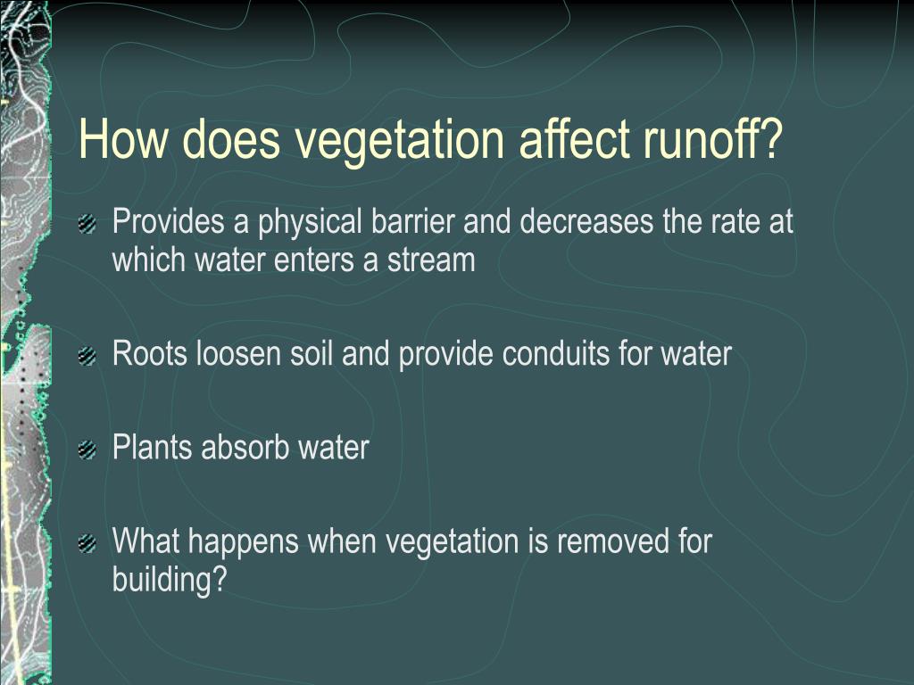 PPT Precipitation PowerPoint Presentation, free download ID4623893