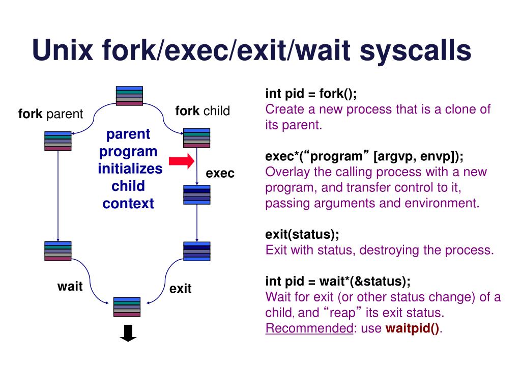 PPT The Kernel and the Unix Process API PowerPoint Presentation, free