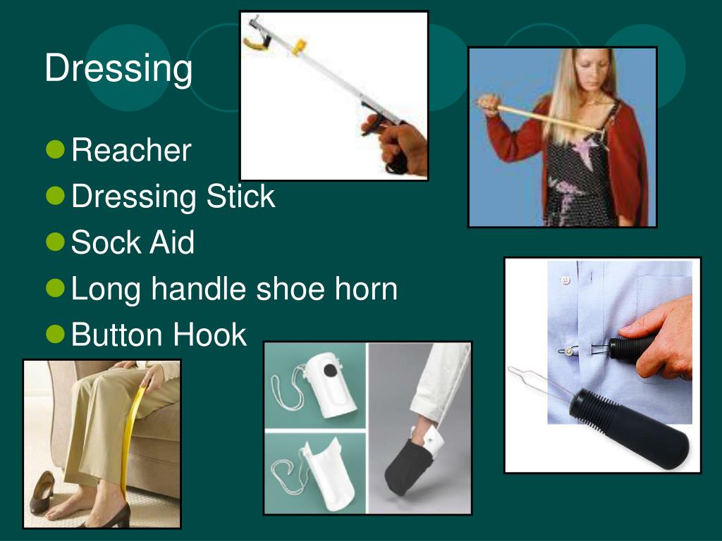 PPT PALS PowerPoint Presentation, free download ID4628675