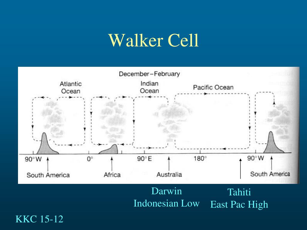PPT ENSO El Ni ñ o Southern Oscillation PowerPoint Presentation