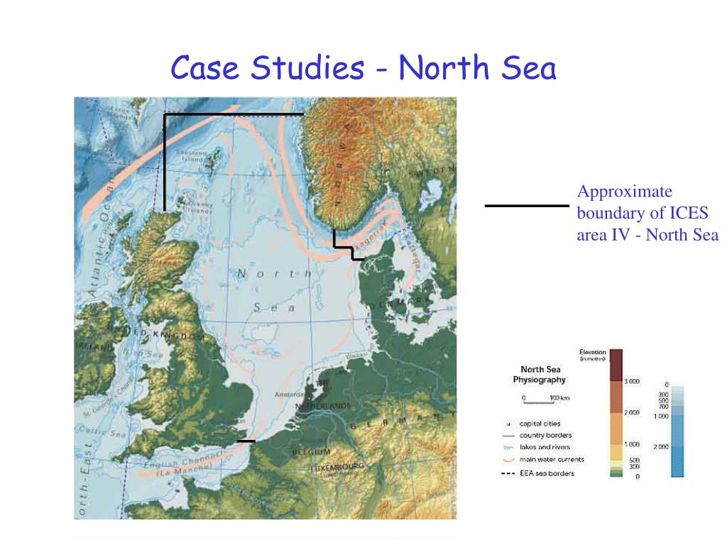PPT INCOFISH WP5 MPAs on Continental Shelves Fisheries and Ecosystem