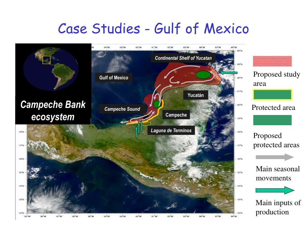 PPT INCOFISH WP5 MPAs on Continental Shelves Fisheries and Ecosystem