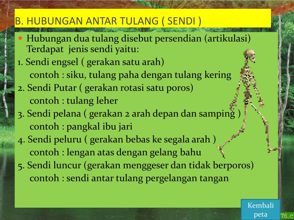 PPT RANGKA DAN PANCA INDRA MANUSIA PowerPoint Presentation, free