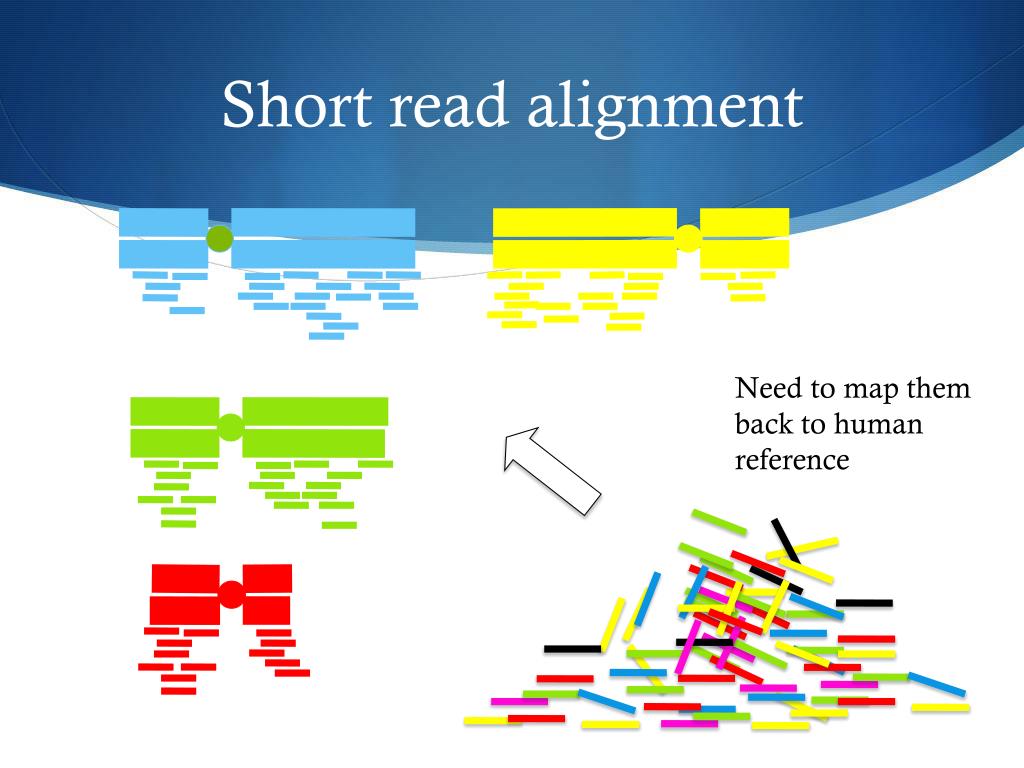 PPT Whole Genome Sequencing, Assembly and Annotation PowerPoint