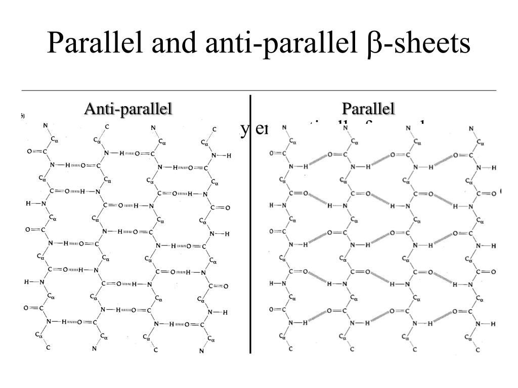 PPT Molecular Biology and Biological Chemistry PowerPoint