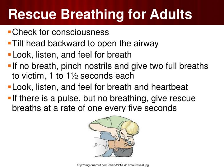 PPT Chapter 35 Administering First Aid, Lessons 14 PowerPoint