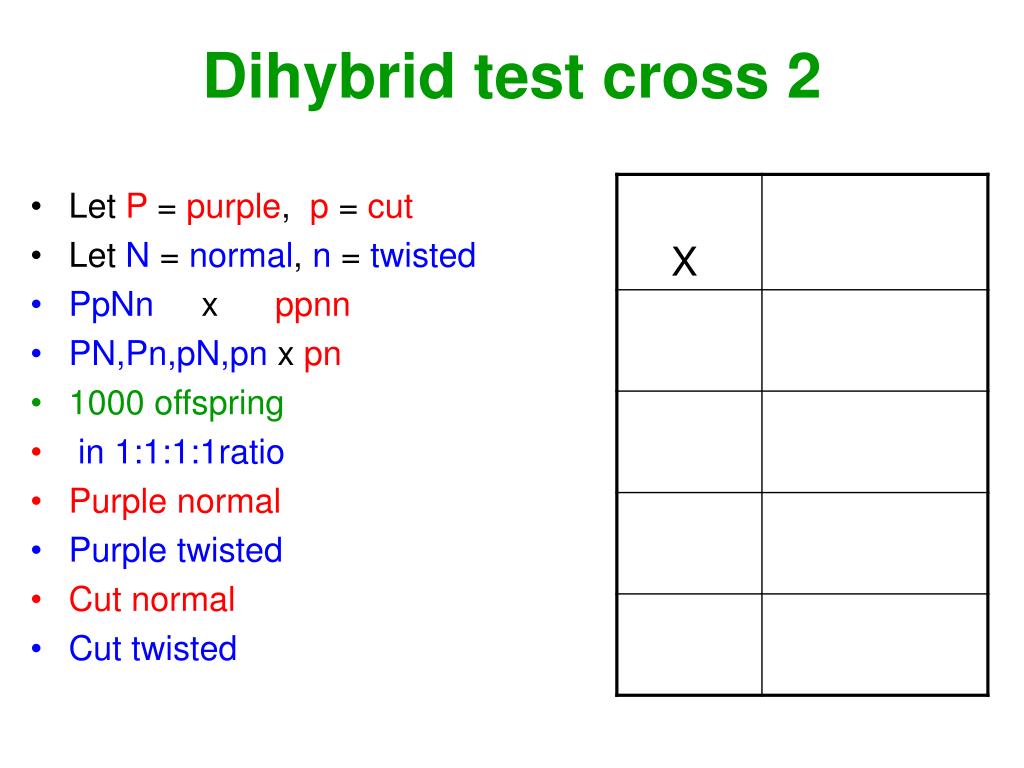 PPT Dihybrid Cross PowerPoint Presentation, free download ID4644109