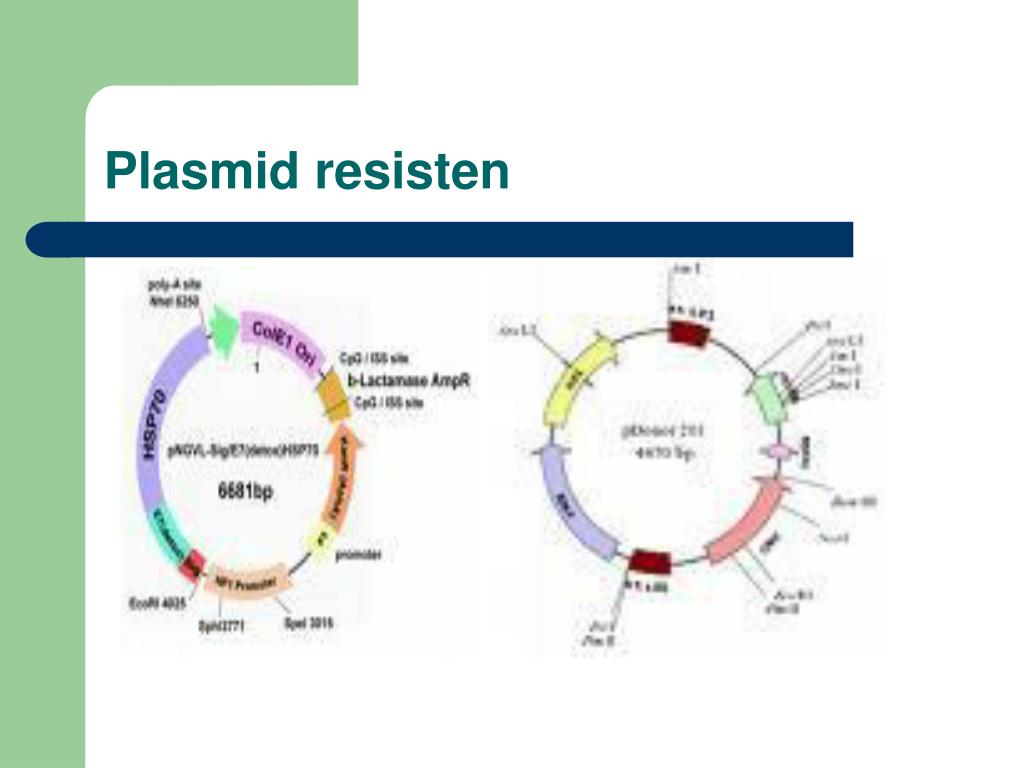 PPT Rekayasa PowerPoint Presentation, free download ID4646225