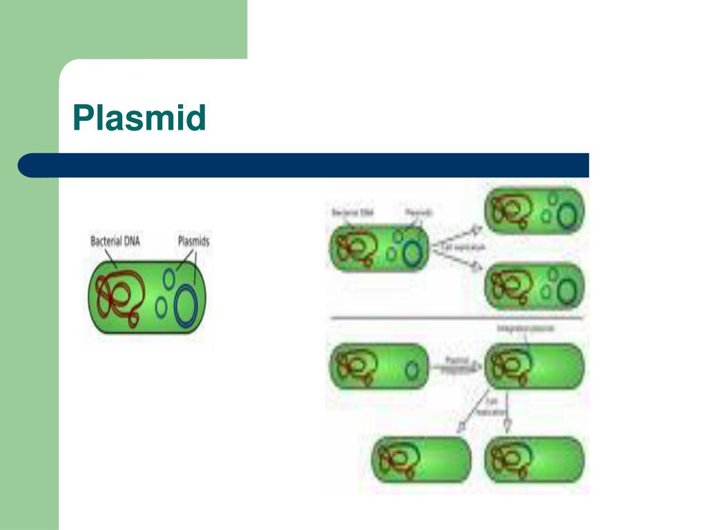 PPT Rekayasa PowerPoint Presentation, free download ID4646225