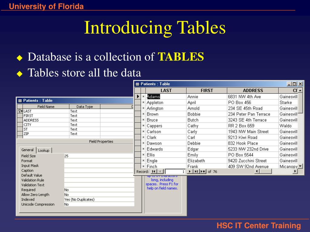 PPT Introduction to Database Concepts and Microsoft Access PowerPoint