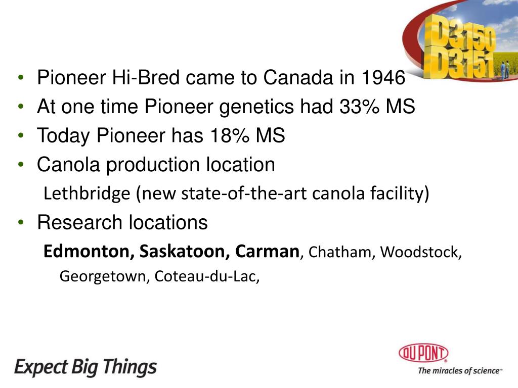 PPT Pioneer HiBred PowerPoint Presentation, free download ID4650978