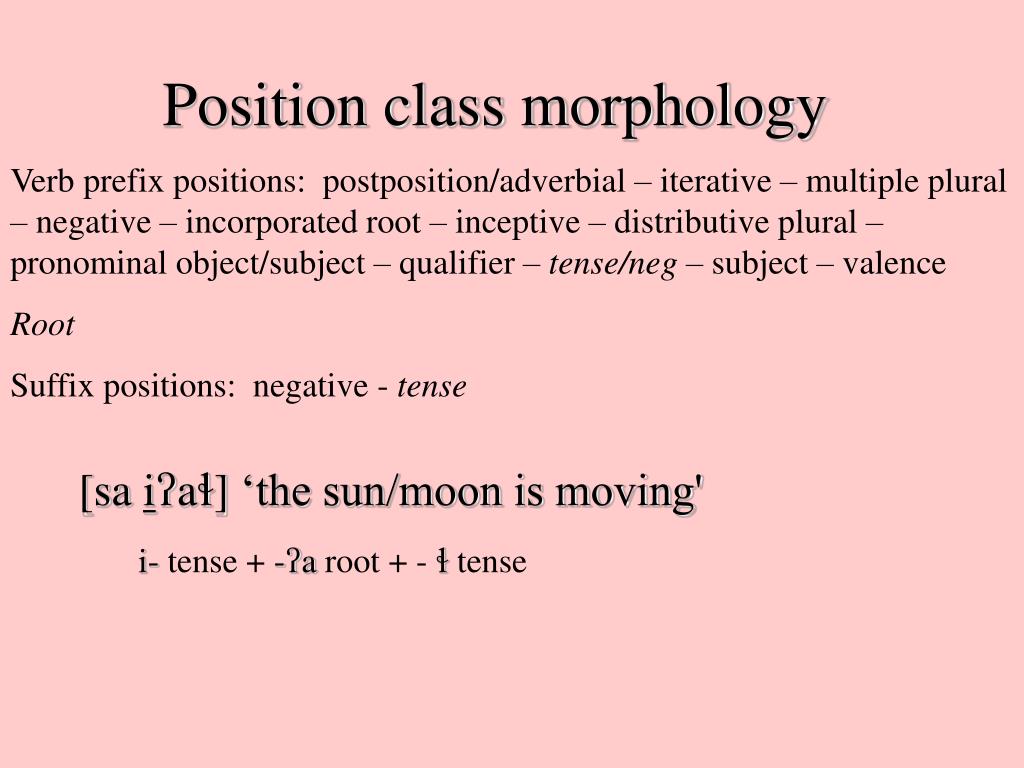 PPT Morphology Crosslinguistic variation PowerPoint Presentation
