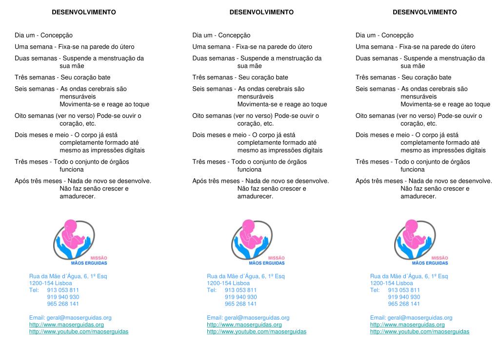 PPT BEBÉ DE 8 SEMANAS PowerPoint Presentation, free download ID4662262