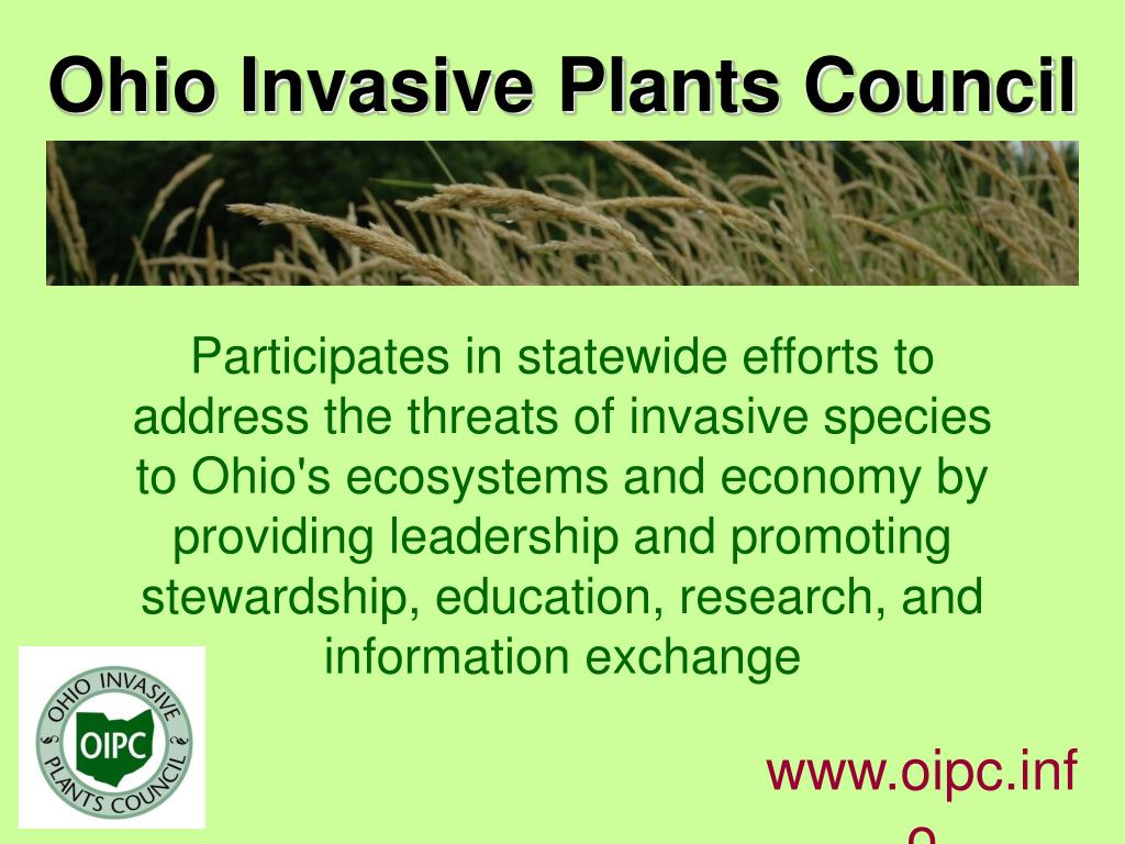 PPT Ohio Invasive Plants Council PowerPoint Presentation, free