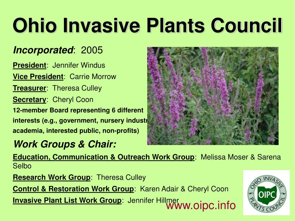 PPT Ohio Invasive Plants Council PowerPoint Presentation, free