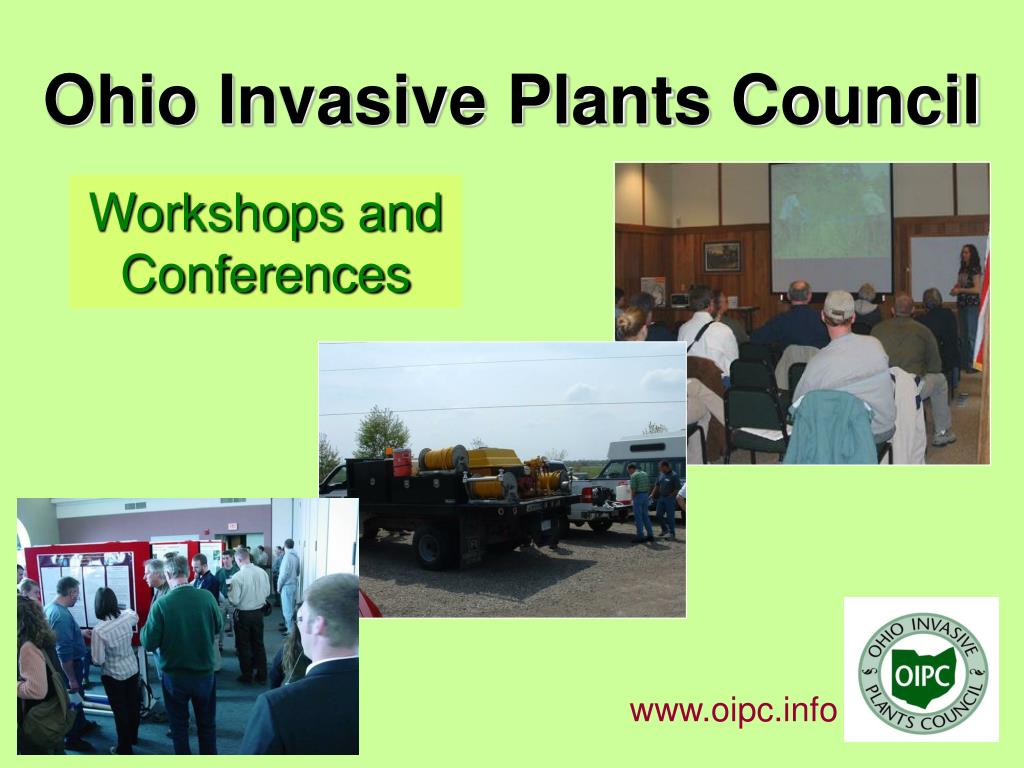 PPT Ohio Invasive Plants Council PowerPoint Presentation, free